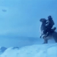 199x199_tauntaun.gif