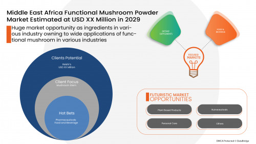 2.FunctionalMushroomPowderMiddleEastAfrica01rr.jpg