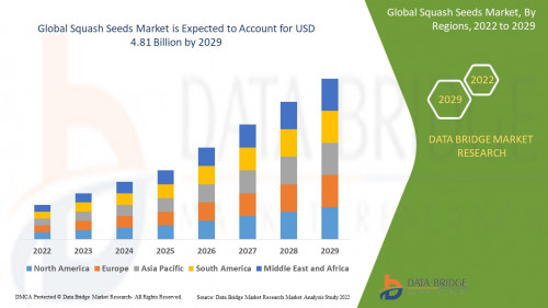 2.SquashSeedsMarket.jpg