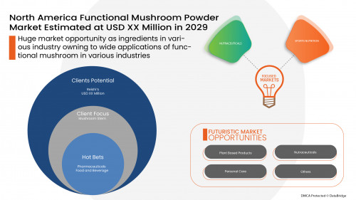 3.FunctionalMushroomPowderNorthAmerica01ee.jpg