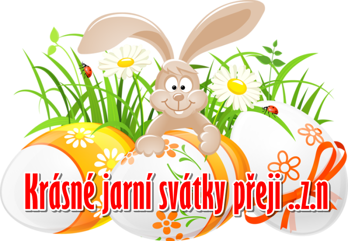 3365390a5ce773112d24351.png