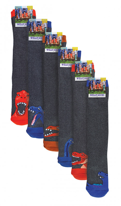 34SED055-BOYS-WELL-DINO-X6-PACK.jpg