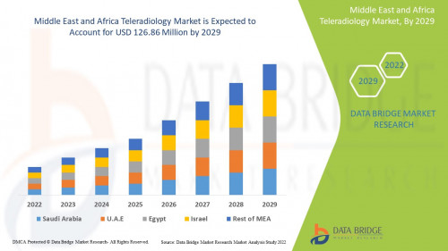 4.MiddleEastandAfricaTeleradiologyMarket.jpg