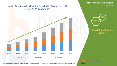 6.NorthAmericaNutsMarket