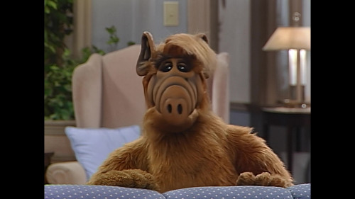 Alf.S02E18.1080p.HMAX.WEB DL.X264 J.mkv00001