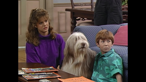 Alf.S02E18.1080p.HMAX.WEB-DL.X264-J.mkv00002.jpg