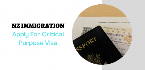 Apply-For-Critical-Purpose-Visa.png