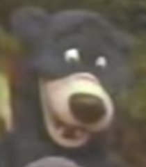 Baloo.jpg