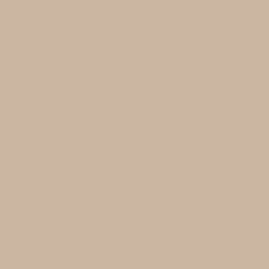 Bamboo-Invisible-BEIGE-swatch.jpg