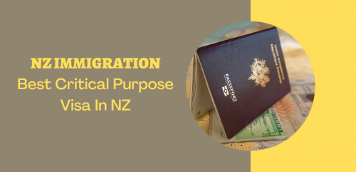 Best-Critical-Purpose-Visa-In-NZ6f93839b1b15e05c.png