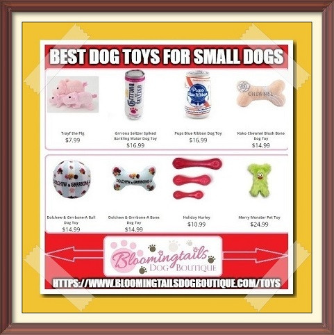 Best-Dog-Toys-for-Small-Dogs-bloomingtailsdogboutique.com.jpg