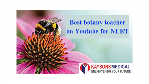 Best-botany-teacher-on-youtube-for-NEET.jpg