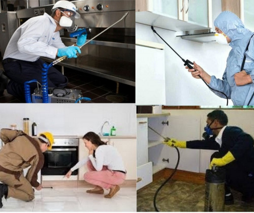 Pest is any organism that spreads the disease at any place and also caused destruction in Homes, Commercial places, and in agriculture. Some examples of pests are mosquitoes, snakes, flies, termites, etc. We all know that Pest is an unwanted guest at home. We all want our homes pest free. so for this, we provide the best Pest control service in Dubai as compared to your own. More information about:

https://www.facebook.com/trapcleaninggrease

https://twitter.com/Greasetrapclea1

https://www.instagram.com/accounts/login/?next=/grease_trapcleaning/

Email:sales@greasetrapcleaning.ae

Phone: +971565093959

Address: Indigo Optima 1 - Dubai