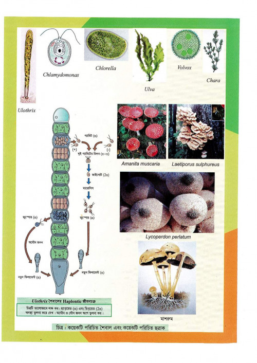 Bio-1stHasan-Sir-20_225.jpg