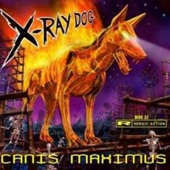 Canis-Maximus.jpg