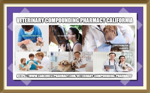 And in CareQuest Pharmacy we have some experienced certified Veterinarians who provide solution to these kinds of challenges so, that your pet is accepted readily. https://bit.ly/2TIuPto