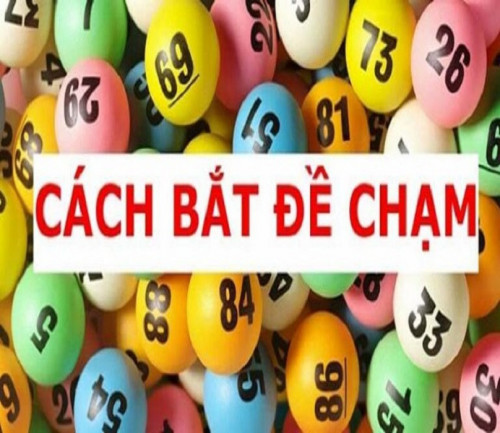 Co-bao-nhieu-cach-bat-de-cham-768x377.jpg