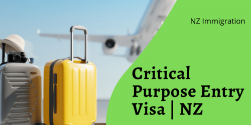 If you already have a visa, you can also use this form to request an invitation to vary the conditions of your visa to let you travel for a critical purpose.
https://nzimmigration.info/critical-purpose-entry-visa/