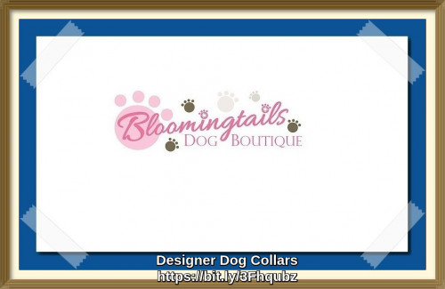 Designer-Dog-Collars-bloomingtailsdogboutique.com.jpg