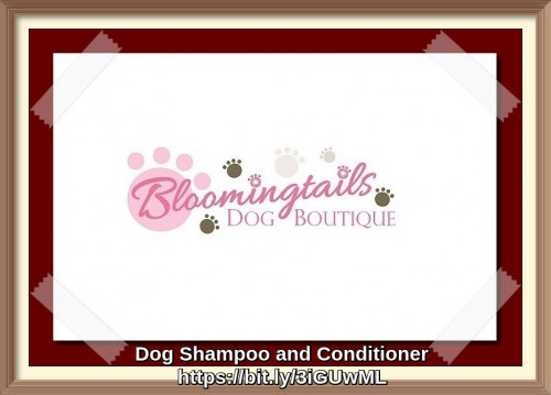 Shop dog shampoo and conditioner from our online store and keep your dog’s skin healthy. In our store you find everything you need to bath, groom & pamper your lovely friend. https://bit.ly/3VSnPdx