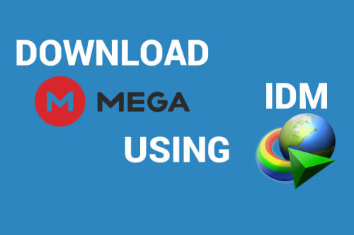 Download Mega Files Using IDM