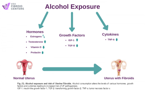 Effect-of-alcohol-on-fibroids.png