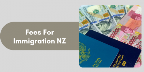 Fees-For-Immigration-NZ.png