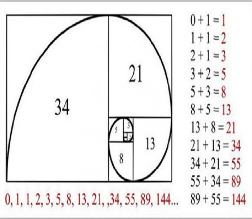 Fibonacci-la-gi-1.jpg