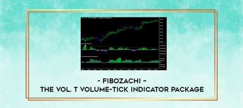 Fibozachi--The-Vol.-T-Volume-Tick-Indicator-Package.png