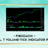 Fibozachi--The-Vol.-T-Volume-Tick-Indicator-Package