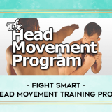 Fight-Smart---The-Head-Movement-Training-Program