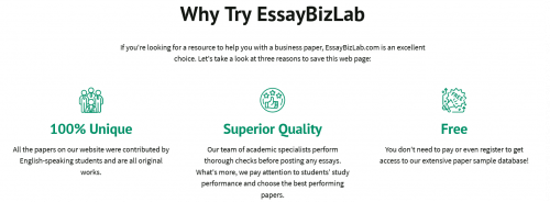 Free Business Paper Samples Database EssayBizLab (3)