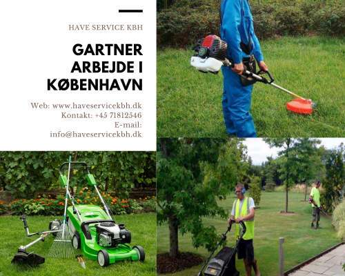 HaveService KBH (haveservicekbh) Gifyu (English)