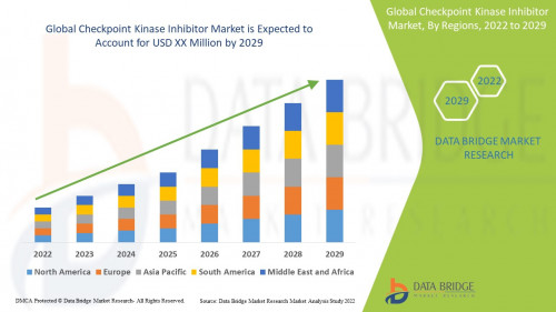 Global Checkpoint Kinase Inhibitor Market