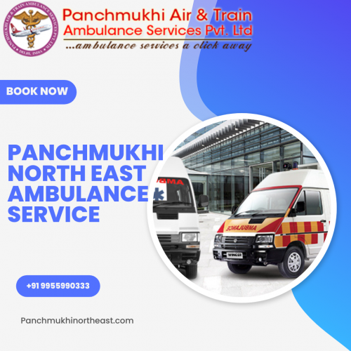 Panchmukhi North East ambulance service provides the best ground ambulance services in Hailakandi as we have shifted many patients from Hailakandi to chosen your treatment center with fast service and ample resources.
More@ https://bit.ly/3UYXV7E