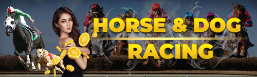 HORSE-RACING4-1.jpg