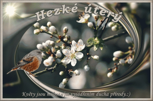 Hezke-utery.gif