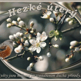 Hezke-utery