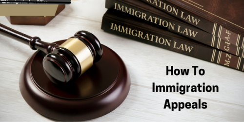 How-To-Immigration-Appeals.png