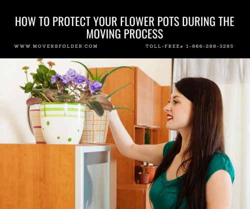 How-to-Protect-Your-Flower-Pots-During-the-Moving-Process.jpg