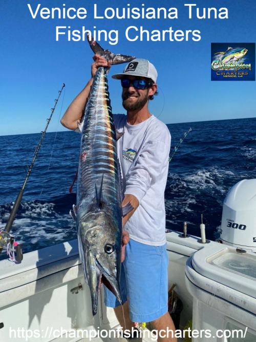Champion Charters, the Venice Louisiana Fishing Charters Company, is situated in Venice Louisiana and focuses on deep sea Tuna fishing trips. We aim to bring you the joy of fishing as well as to assist you in catching them. We offer you the simplest planned Venice fishing trips so that you enjoy this fishing trip to the most within your budget. Visit,https://bit.ly/3dQYv38