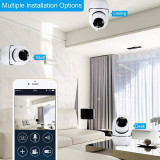 IP-Camera-2