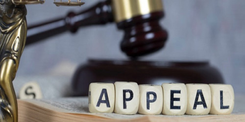 You may decide to appeal against a decision made by Immigration New Zealand. Appeals are heard at the Immigration and Protection Tribunal.
https://nzimmigration.info/immigration-problems/immigration-appeals/