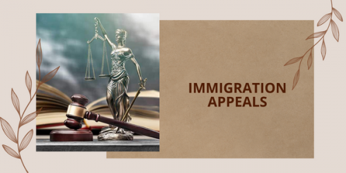 Immigration-Appeals.png