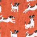 Jack-Russells-SKS167-RUST-SWATCH8365843fcee2c213.jpg