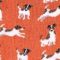 Jack_Russells_SKS167_RUST_SWATCH.jpg