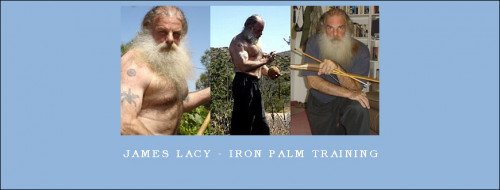 James-Lacy---Iron-Palm-Traininge9e18f0b0ad851eb.jpg