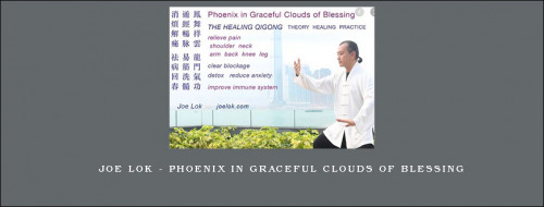 Joe-Lok---Phoenix-In-Graceful-Clouds-of-Blessing548fcdb8e3b73e59.jpg