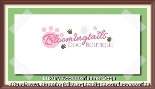 Luxury-Accessories-for-Dogs-bloomingtailsdogboutique.com.jpg