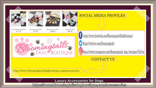 Luxury-Accessories-for-Dogs-bloomingtailsdogboutique.comd3b67cd200909ba5.jpg